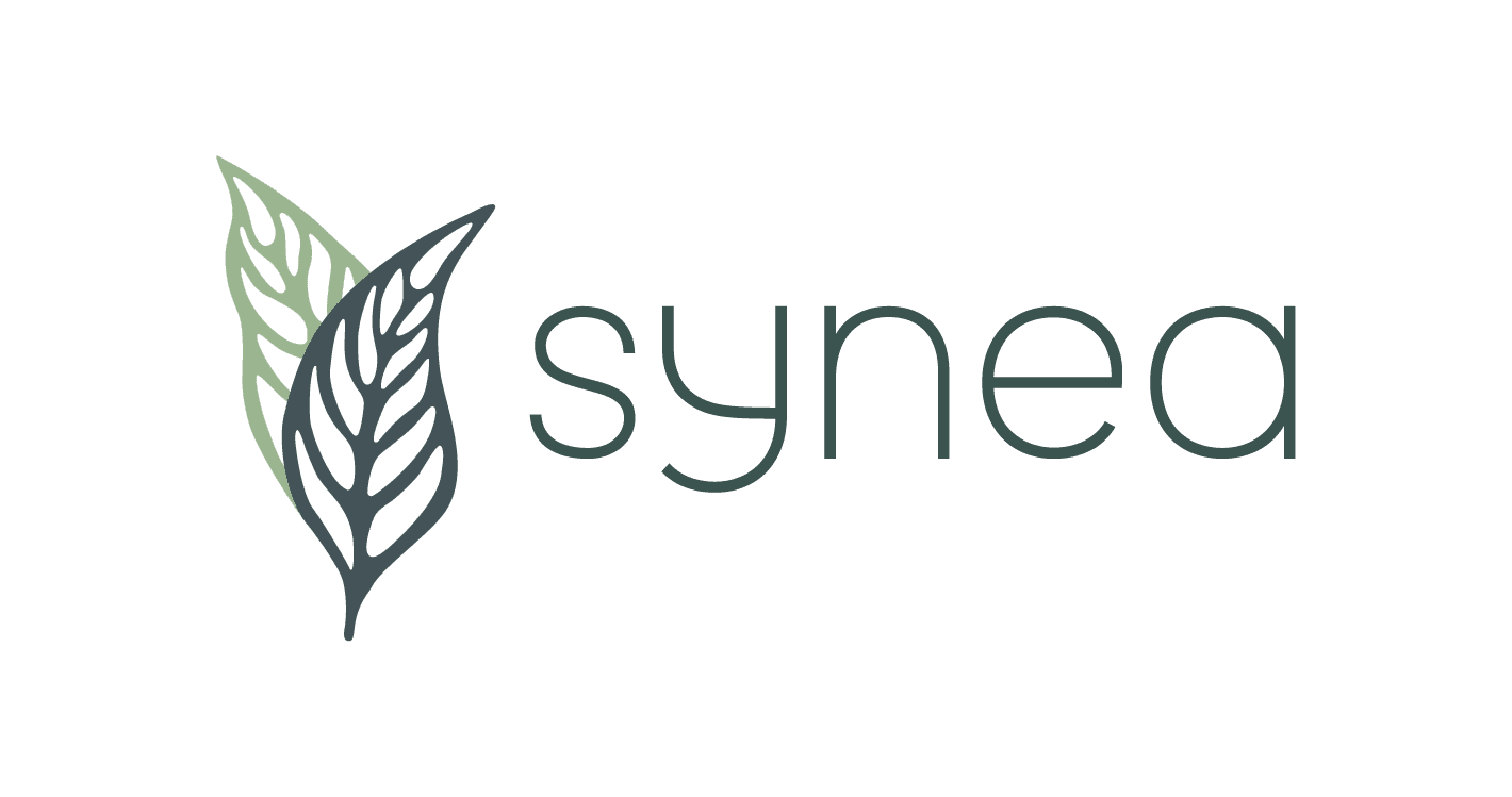 Synea Medical Day Spa